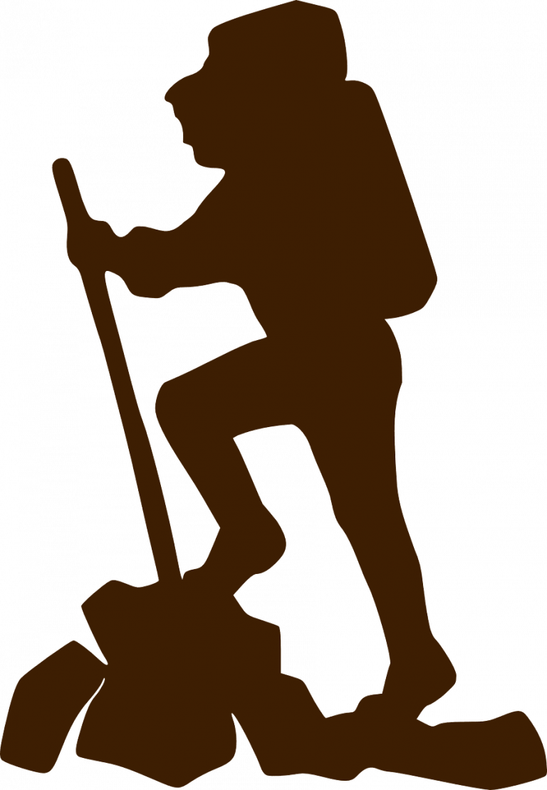 How Much Do Vans Weigh? Weight of Vans Shoes!