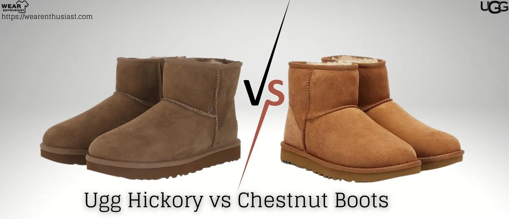 UGG Hickory Vs Chestnut Boots