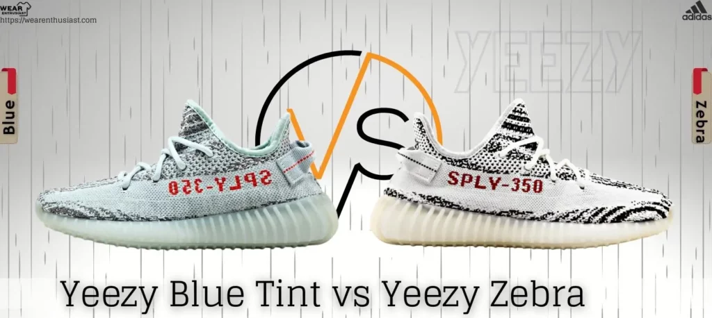 Yeezy Blue Tint vs Zebra (6 Key Differences)