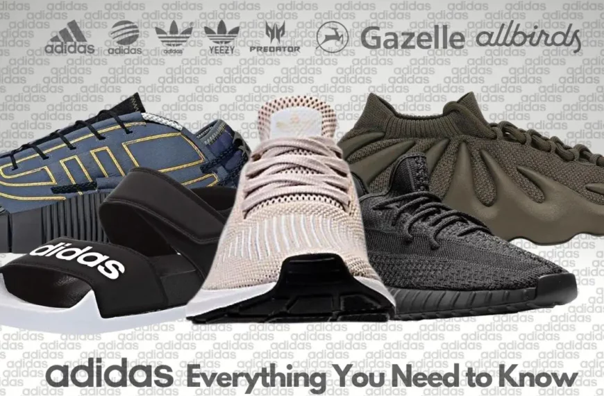 Adidas Everything You Need to Know