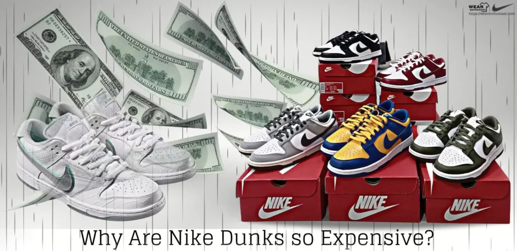4 Reasons Why Are Nike Dunks so Expensive!