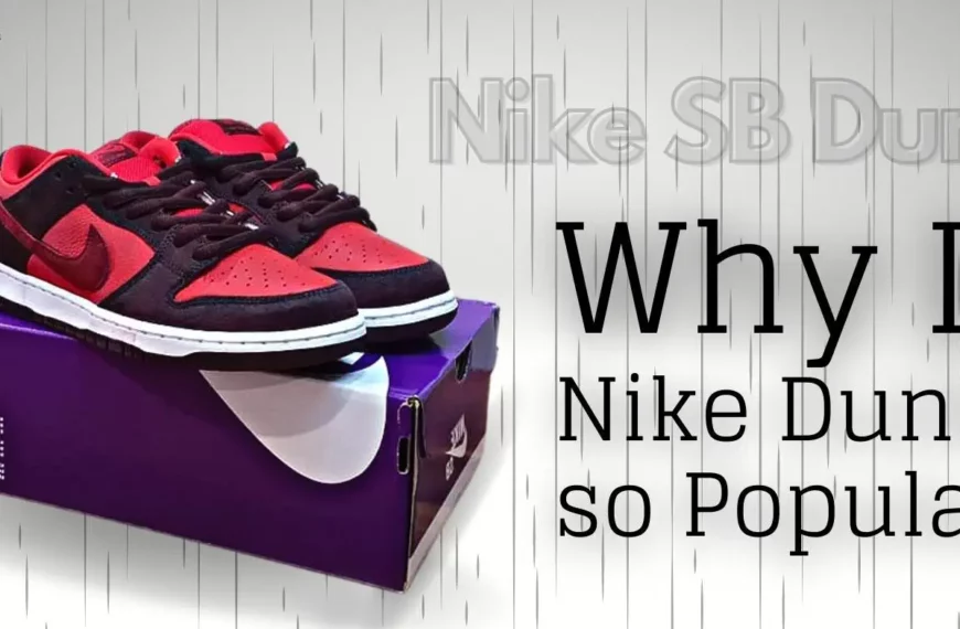 Why Is Nike Dunks so Popular?