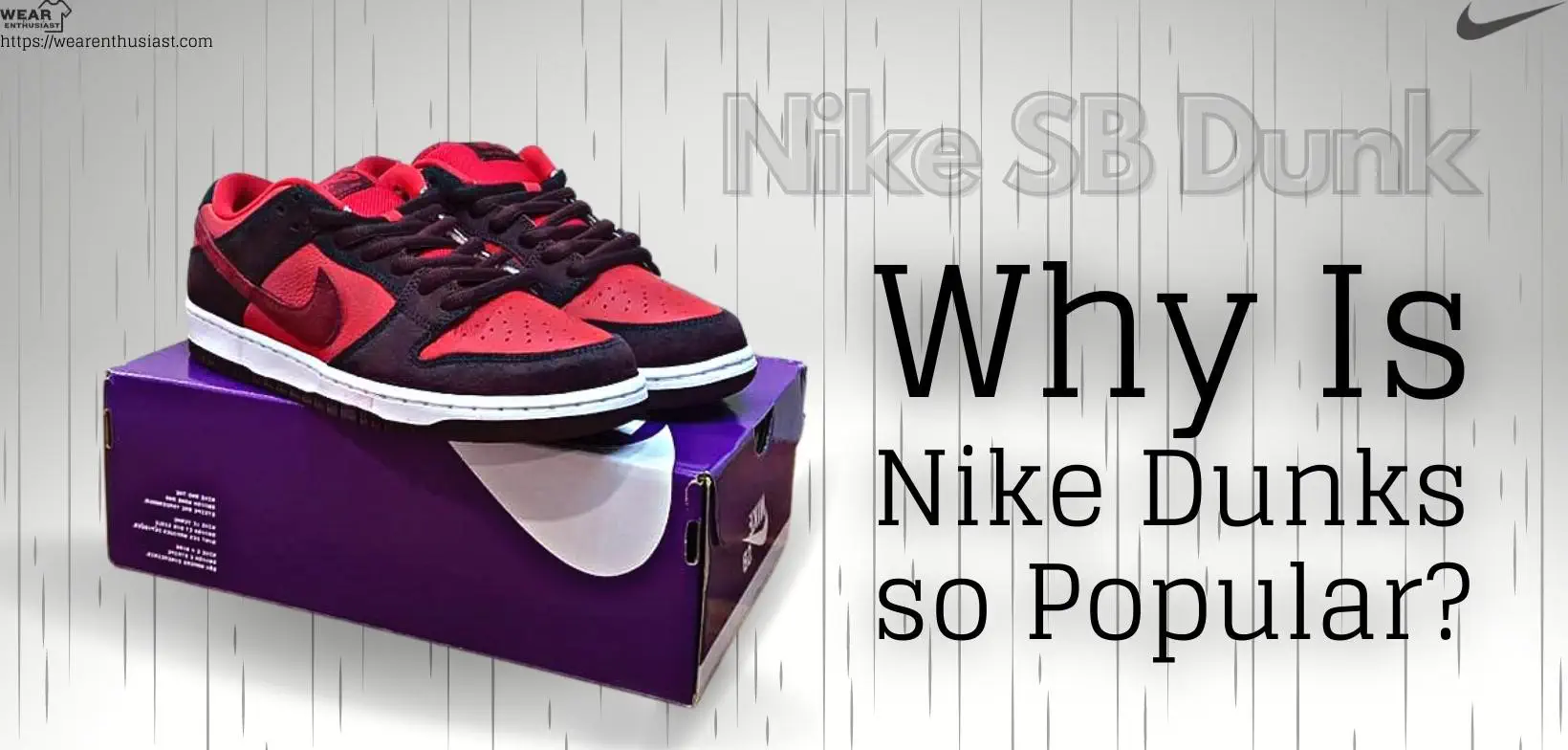 Why Is Nike Dunks so Popular?