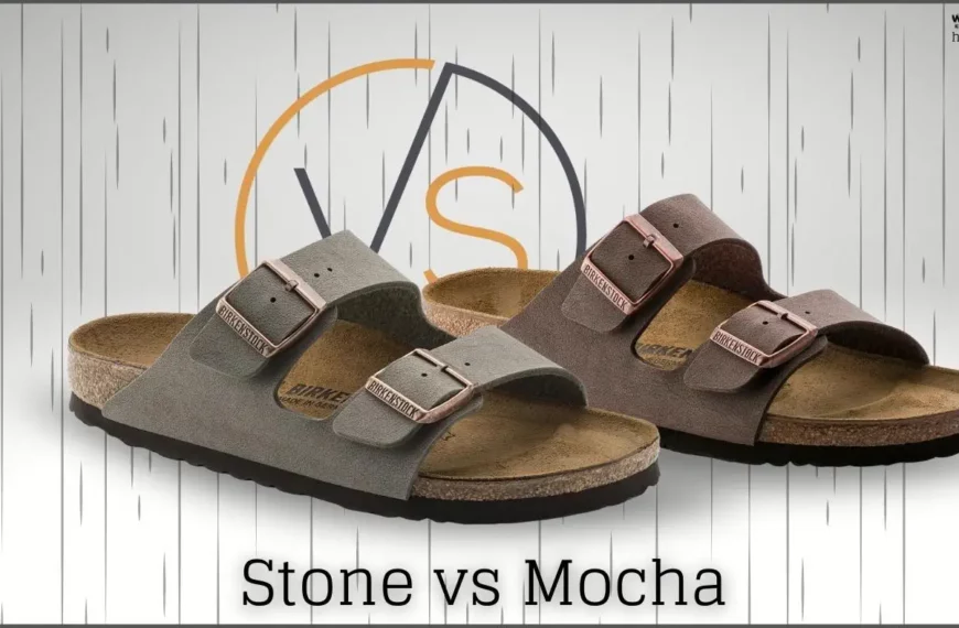 Birkenstock Stone vs Mocha Shoes